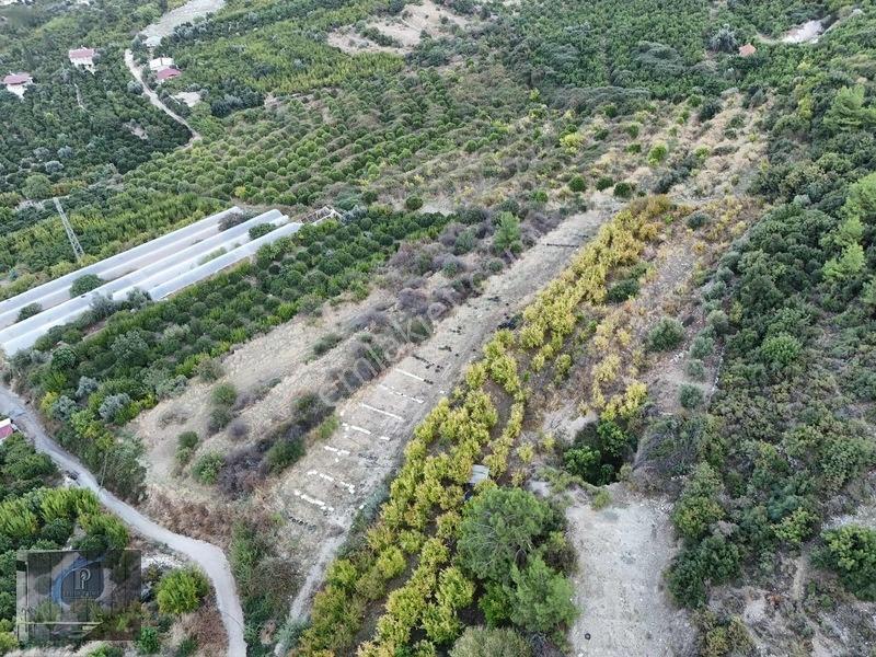 Full Deniz Manzaralı Bir Kısmı İmatlı Finike De Arsa Ve Tarla — fotoğraf 11