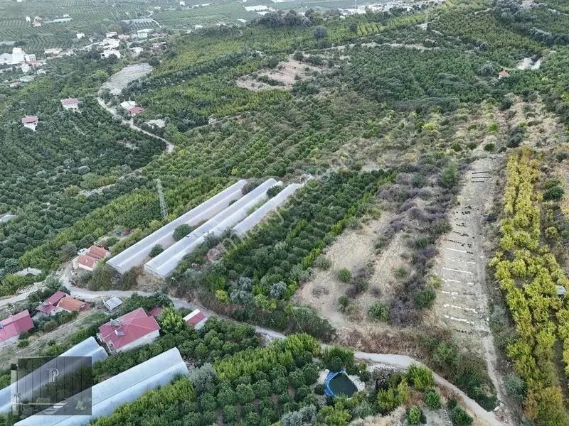 Full Deniz Manzaralı Bir Kısmı İmatlı Finike De Arsa Ve Tarla — fotoğraf 12