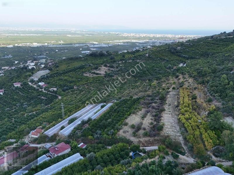 Full Deniz Manzaralı Bir Kısmı İmatlı Finike De Arsa Ve Tarla — fotoğraf 13