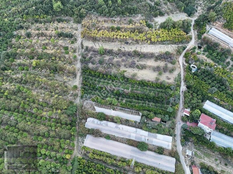 Full Deniz Manzaralı Bir Kısmı İmatlı Finike De Arsa Ve Tarla — fotoğraf 15