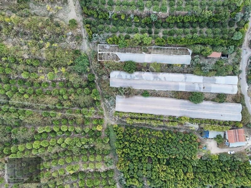 Full Deniz Manzaralı Bir Kısmı İmatlı Finike De Arsa Ve Tarla — fotoğraf 16