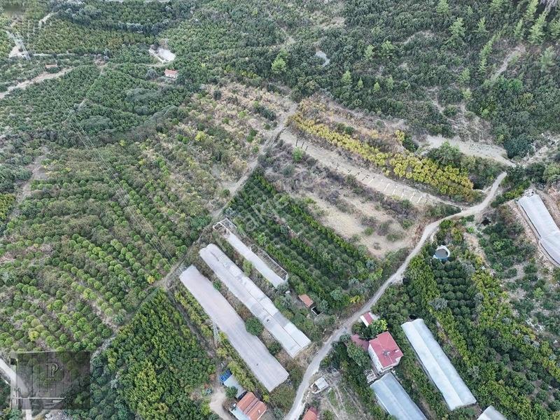 Full Deniz Manzaralı Bir Kısmı İmatlı Finike De Arsa Ve Tarla — fotoğraf 17