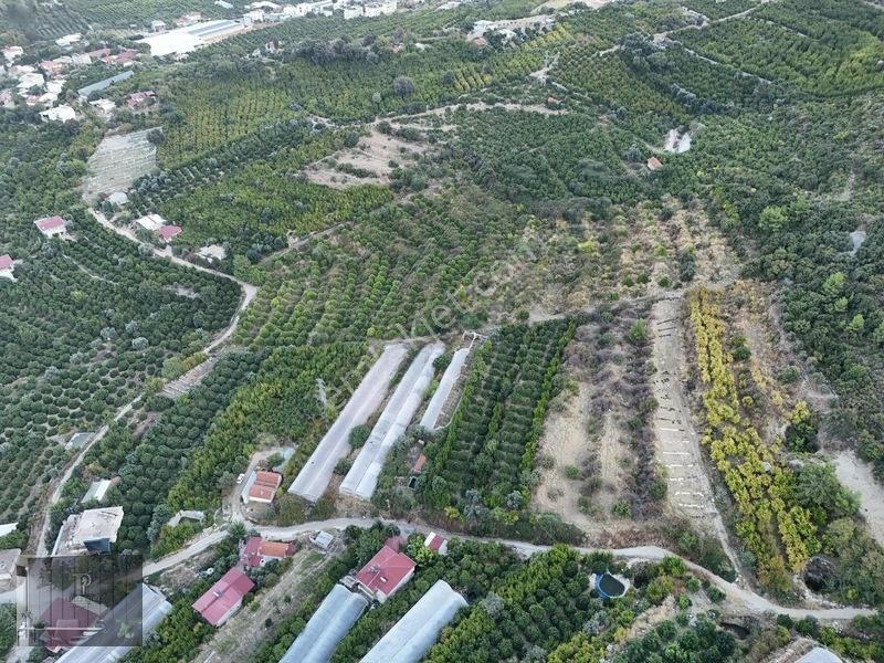 Full Deniz Manzaralı Bir Kısmı İmatlı Finike De Arsa Ve Tarla — fotoğraf 18