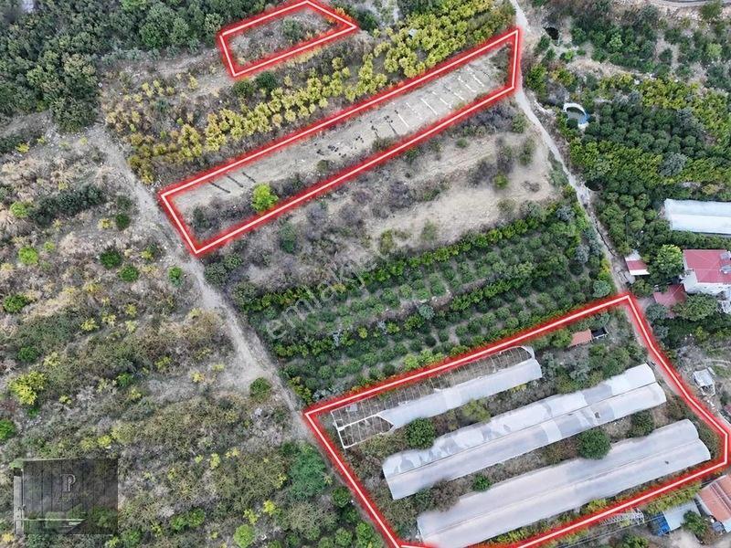 Full Deniz Manzaralı Bir Kısmı İmatlı Finike De Arsa Ve Tarla — fotoğraf 19