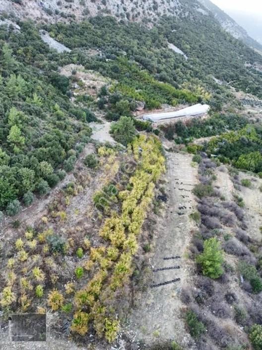 Full Deniz Manzaralı Bir Kısmı İmatlı Finike De Arsa Ve Tarla — fotoğraf 20