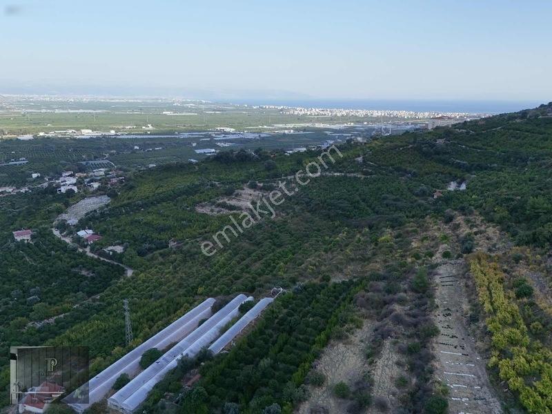 Full Deniz Manzaralı Bir Kısmı İmatlı Finike De Arsa Ve Tarla — fotoğraf 22