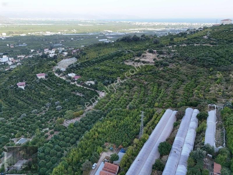 Full Deniz Manzaralı Bir Kısmı İmatlı Finike De Arsa Ve Tarla — fotoğraf 23