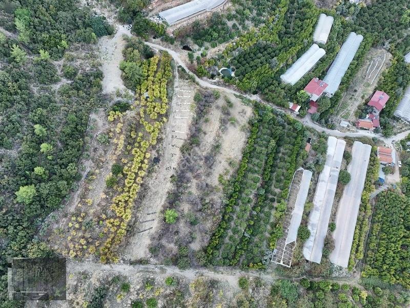 Full Deniz Manzaralı Bir Kısmı İmatlı Finike De Arsa Ve Tarla — fotoğraf 24