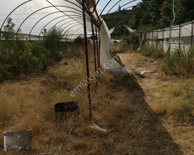Full Deniz Manzaralı Bir Kısmı İmatlı Finike De Arsa Ve Tarla — fotoğraf 26