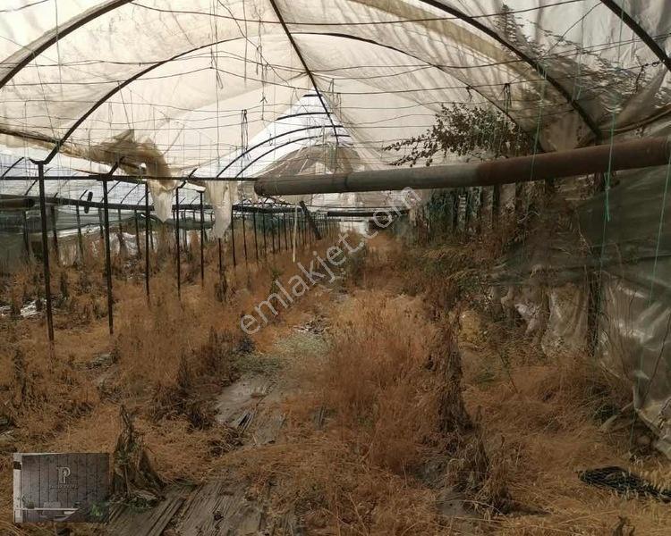Full Deniz Manzaralı Bir Kısmı İmatlı Finike De Arsa Ve Tarla — fotoğraf 27