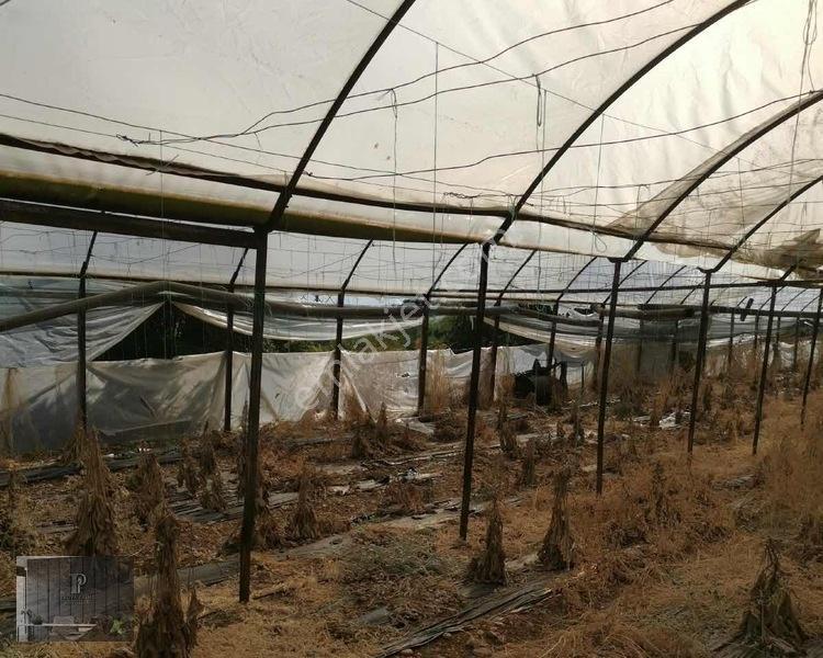 Full Deniz Manzaralı Bir Kısmı İmatlı Finike De Arsa Ve Tarla — fotoğraf 29