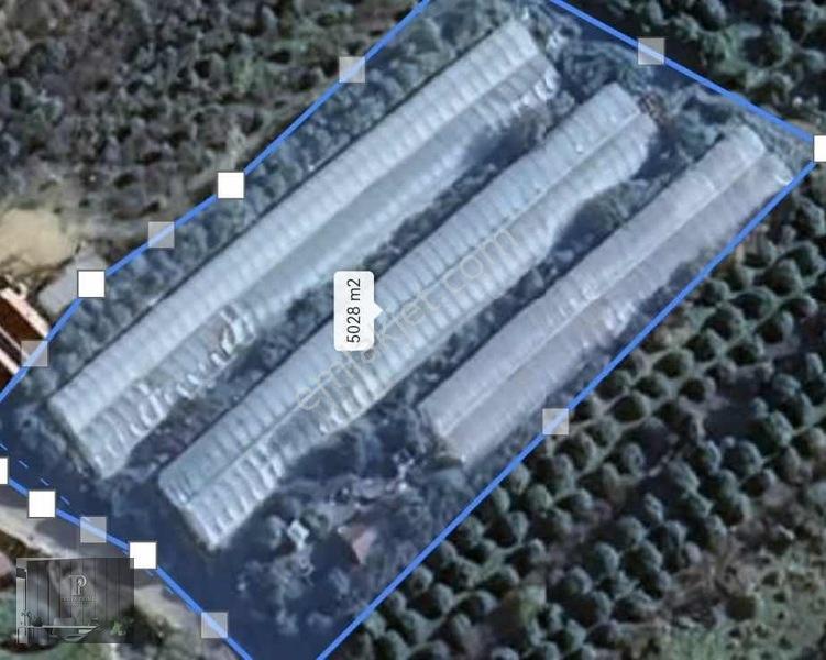 Full Deniz Manzaralı Bir Kısmı İmatlı Finike De Arsa Ve Tarla — fotoğraf 30