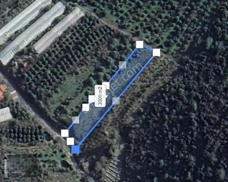 Full Deniz Manzaralı Bir Kısmı İmatlı Finike De Arsa Ve Tarla — fotoğraf 32