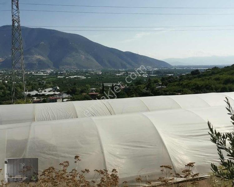Full Deniz Manzaralı Bir Kısmı İmatlı Finike De Arsa Ve Tarla — fotoğraf 34