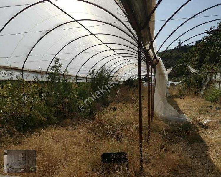 Full Deniz Manzaralı Bir Kısmı İmatlı Finike De Arsa Ve Tarla — fotoğraf 35