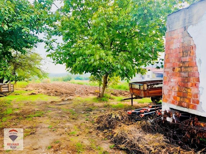 Remax Mavi'den Osmaneli Cicilerde Elekt-su İçinde, 3020 M² Bahçe — fotoğraf 12