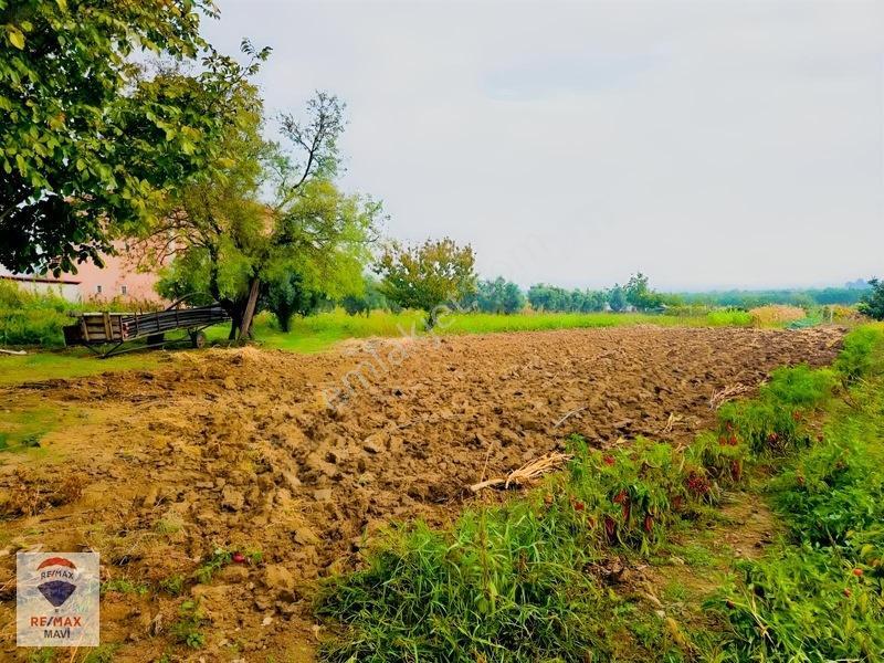 Remax Mavi'den Osmaneli Cicilerde Elekt-su İçinde, 3020 M² Bahçe — fotoğraf 15