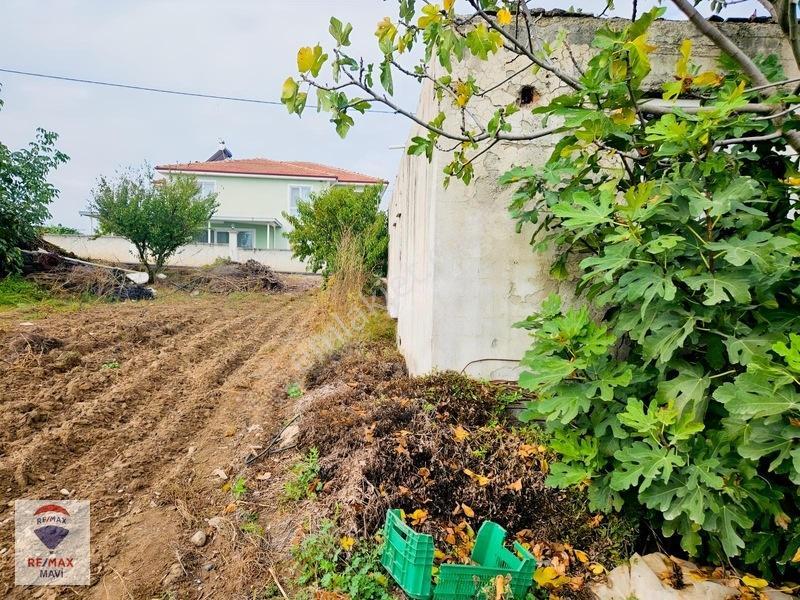 Remax Mavi'den Osmaneli Cicilerde Elekt-su İçinde, 3020 M² Bahçe — fotoğraf 16