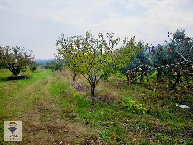 Remax Mavi'den Osmaneli Cicilerde Elekt-su İçinde, 3020 M² Bahçe — fotoğraf 19