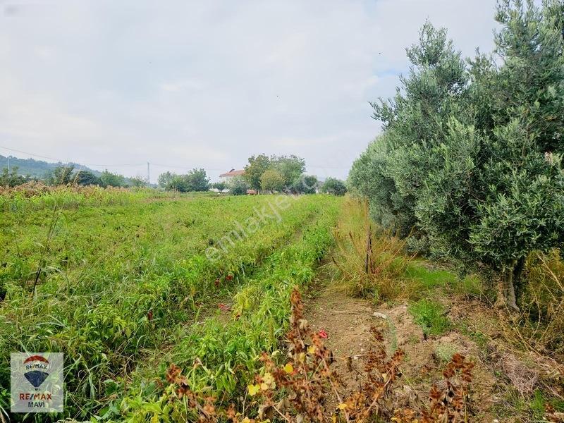 Remax Mavi'den Osmaneli Cicilerde Elekt-su İçinde, 3020 M² Bahçe — fotoğraf 20