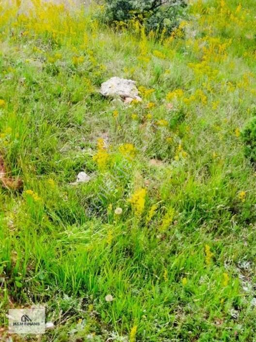 Karabük Merkez Kale Mah 2845 M2 Satılık Arsa — fotoğraf 4