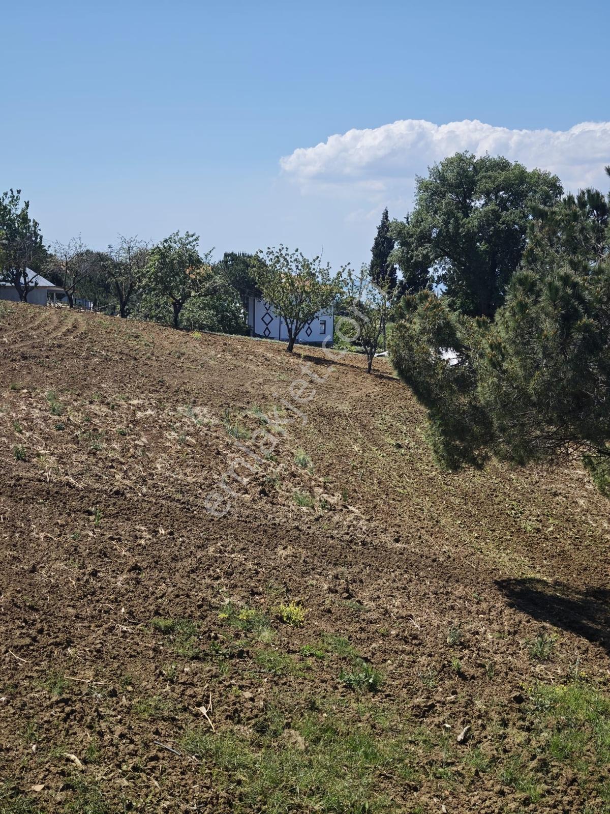 Kocaeli Karamürsel Dereköyde Deniz Manzaralı Satılık İmarlı Arsa — fotoğraf 5