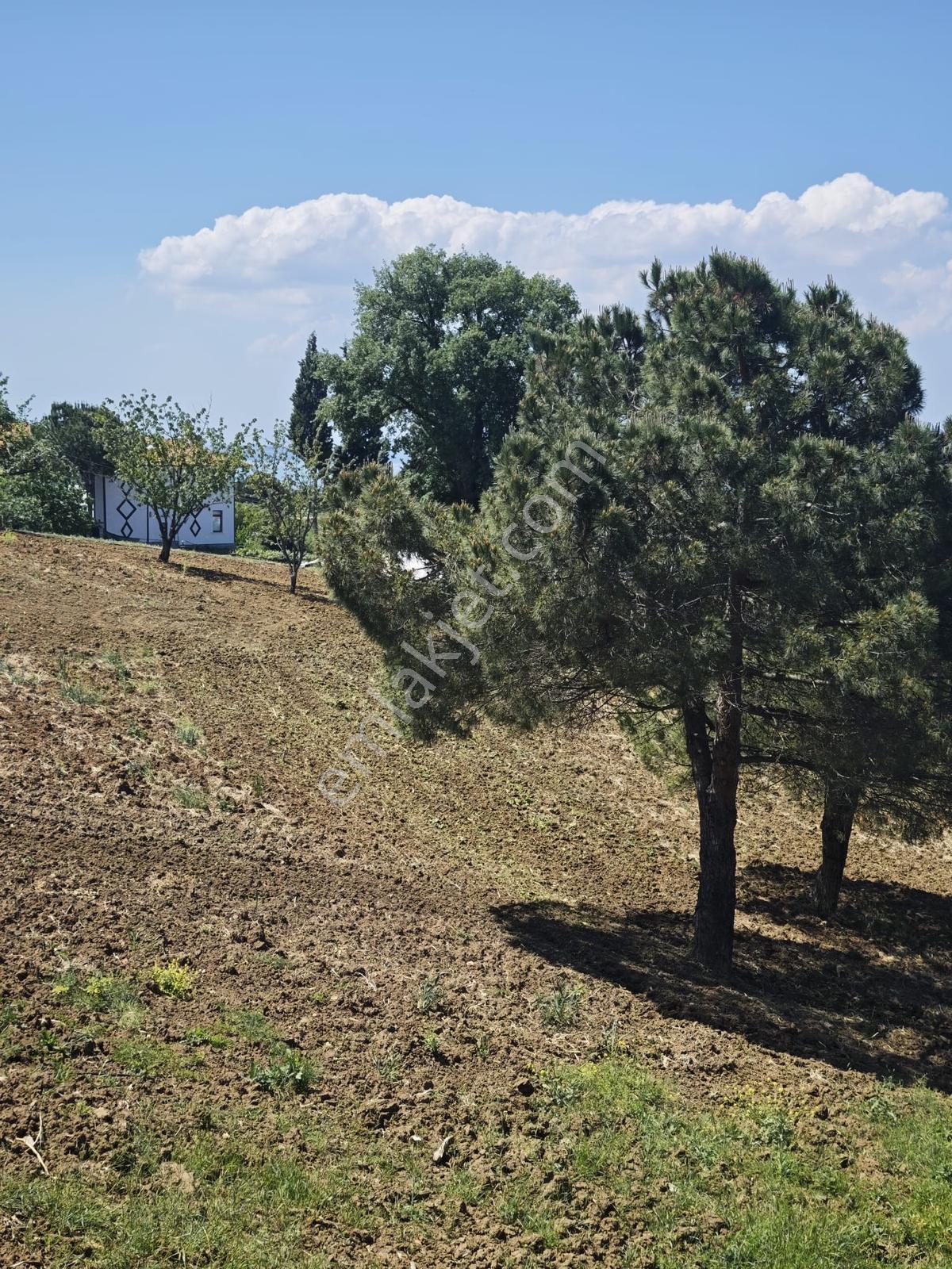 Kocaeli Karamürsel Dereköyde Deniz Manzaralı Satılık İmarlı Arsa — fotoğraf 6