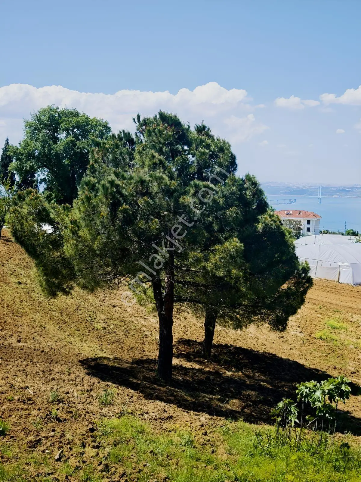 Kocaeli Karamürsel Dereköyde Deniz Manzaralı Satılık İmarlı Arsa — fotoğraf 13