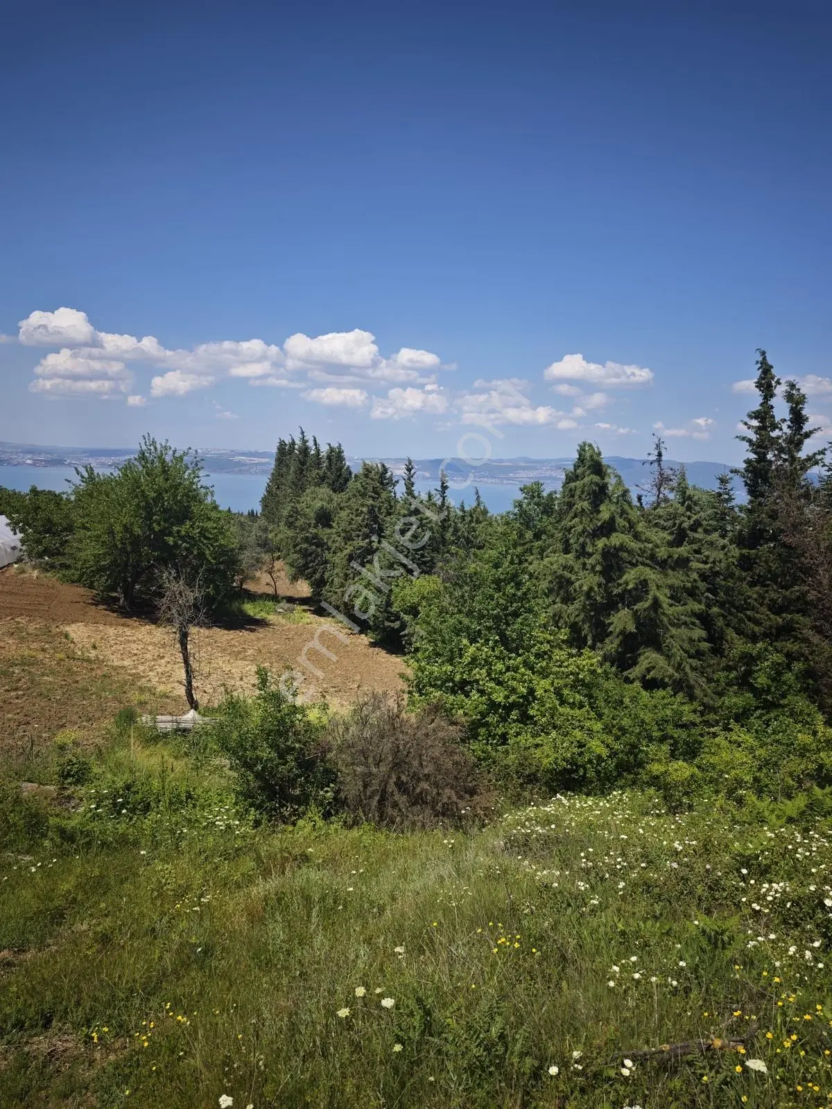 Kocaeli Karamürsel Dereköyde Deniz Manzaralı Satılık İmarlı Arsa — fotoğraf 20