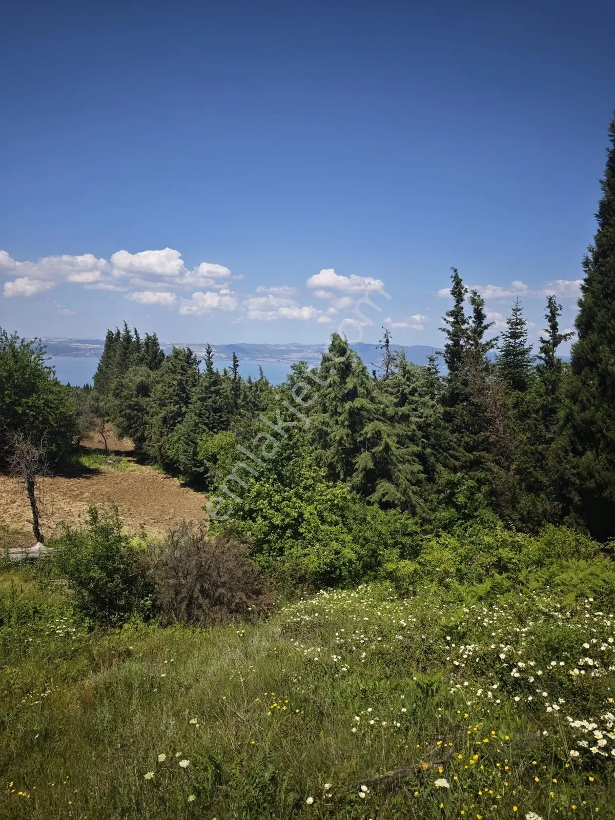 Kocaeli Karamürsel Dereköyde Deniz Manzaralı Satılık İmarlı Arsa — fotoğraf 21