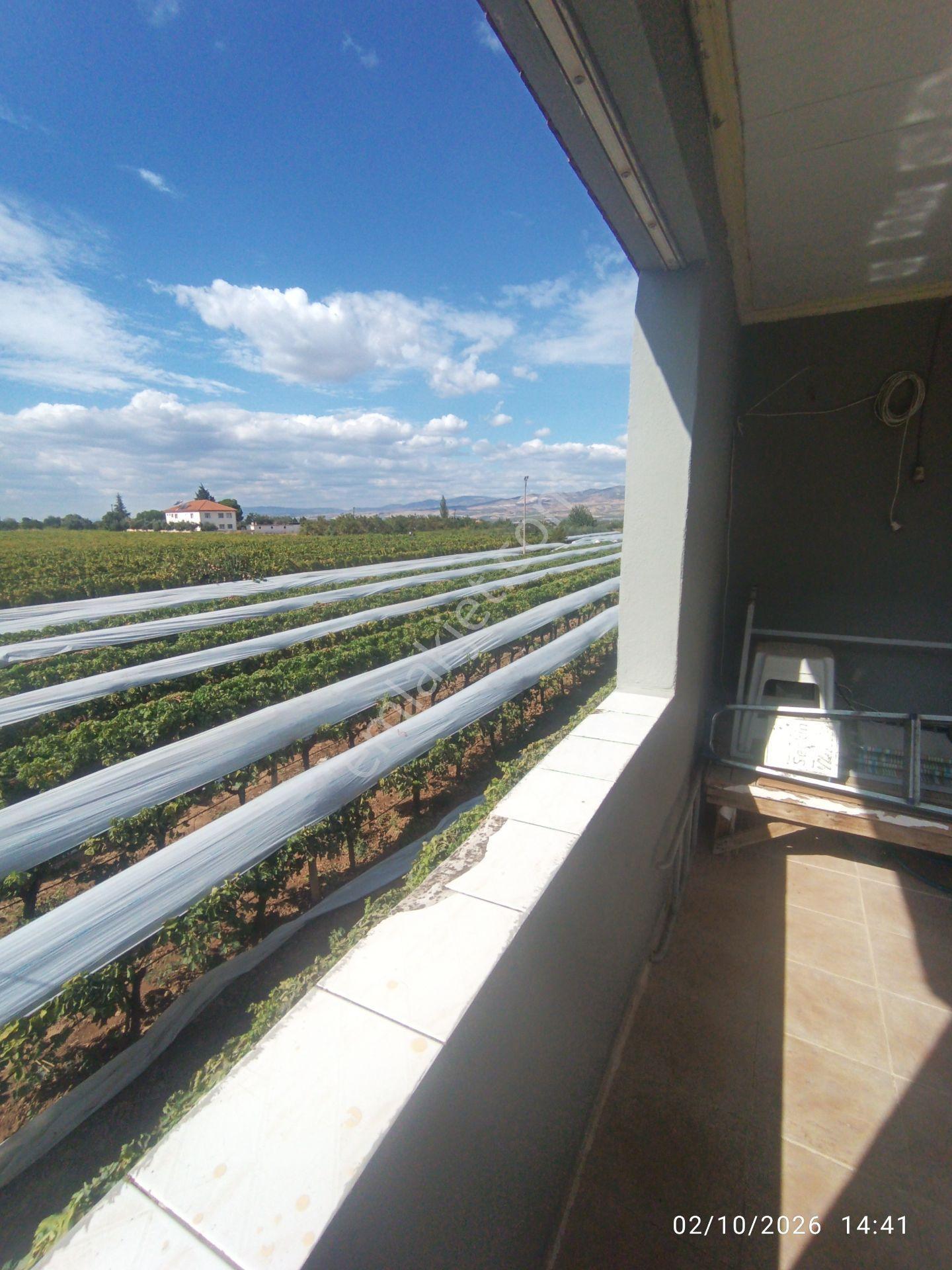 Alaşehir Akkeçili'de Satılık 2894 M² Bağ Ve Bahçe — fotoğraf 15