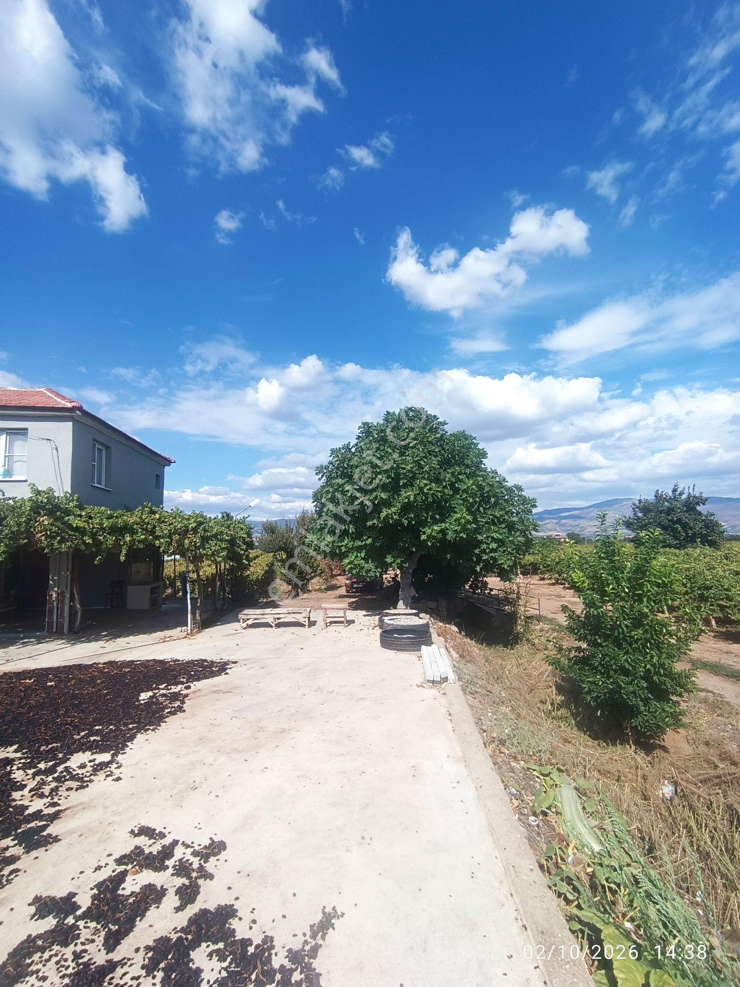 Alaşehir Akkeçili'de Satılık 2894 M² Bağ Ve Bahçe — fotoğraf 28