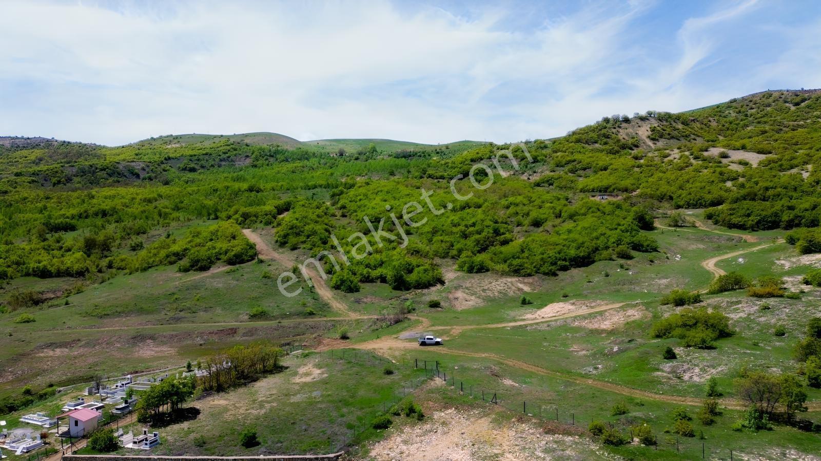 Bingöl / Yayladere / Yolgüden Mah. 8617 M² Tarla — fotoğraf 3