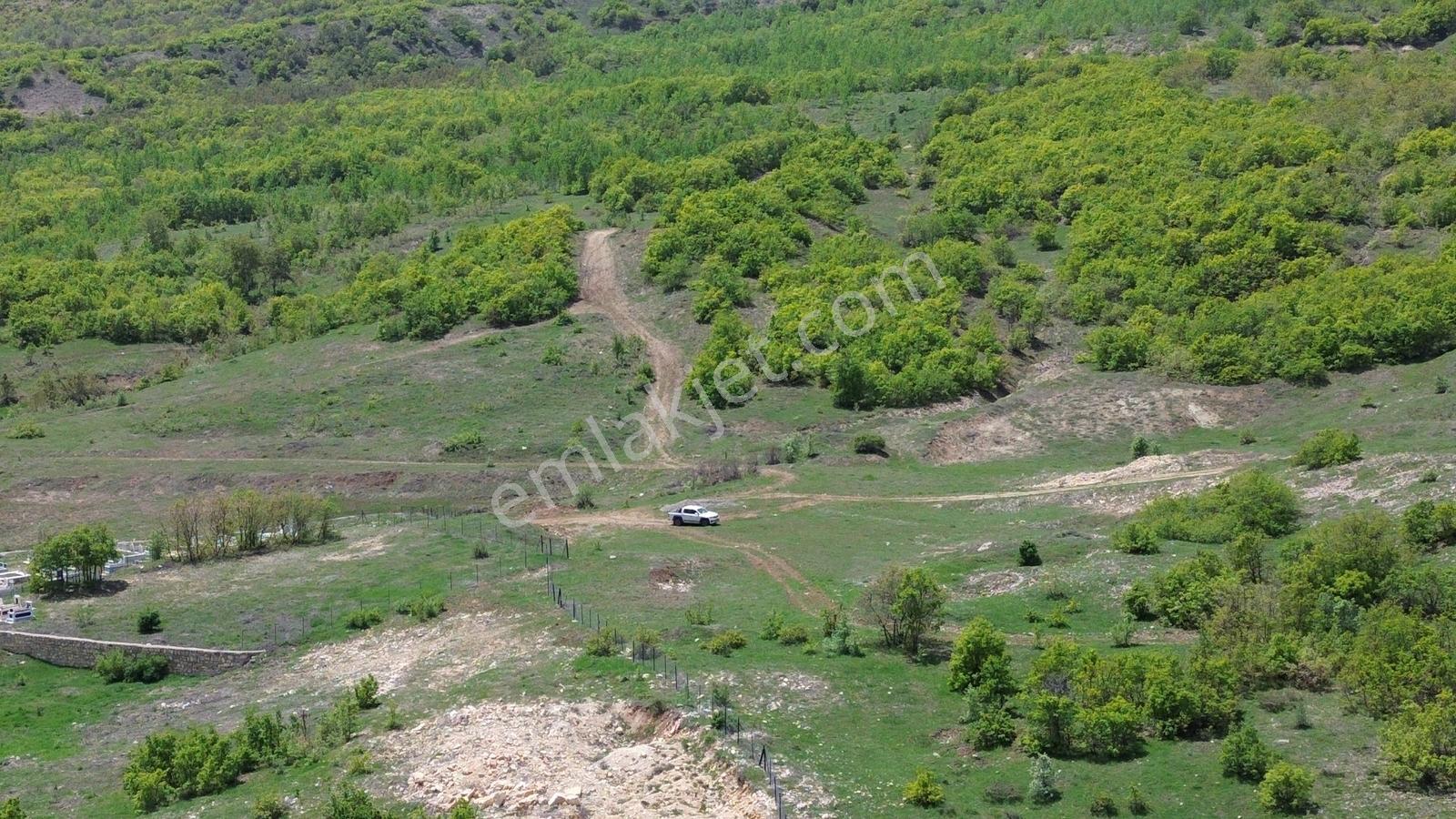 Bingöl / Yayladere / Yolgüden Mah. 8617 M² Tarla — fotoğraf 4