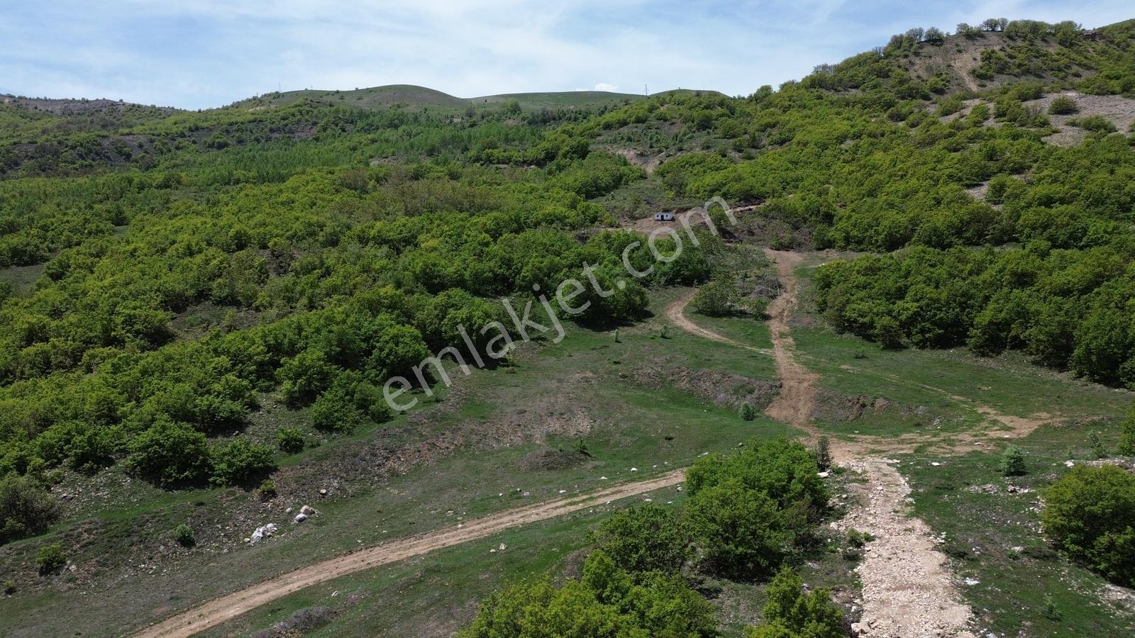 Bingöl / Yayladere / Yolgüden Mah. 8617 M² Tarla — fotoğraf 5