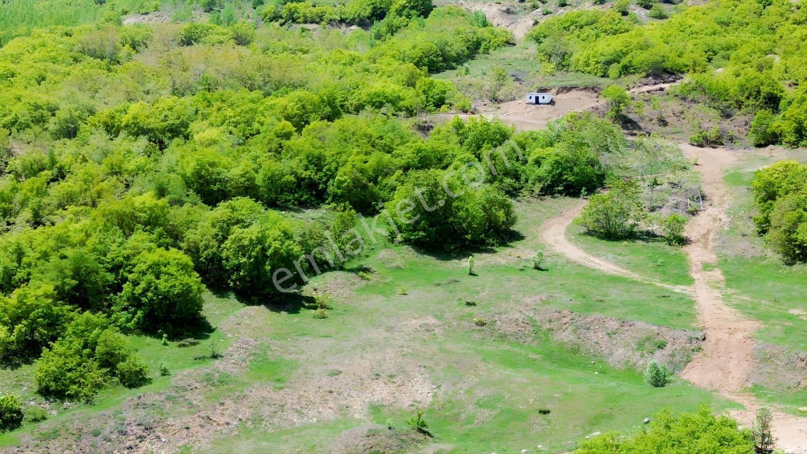 Bingöl / Yayladere / Yolgüden Mah. 8617 M² Tarla — fotoğraf 6