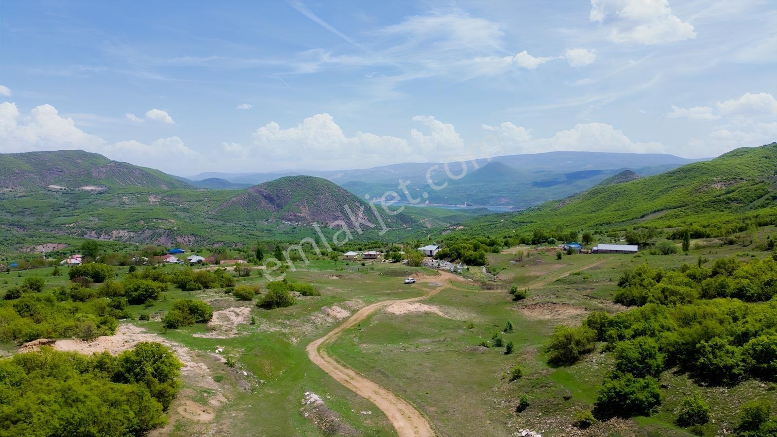 Bingöl / Yayladere / Yolgüden Mah. 8617 M² Tarla — fotoğraf 7