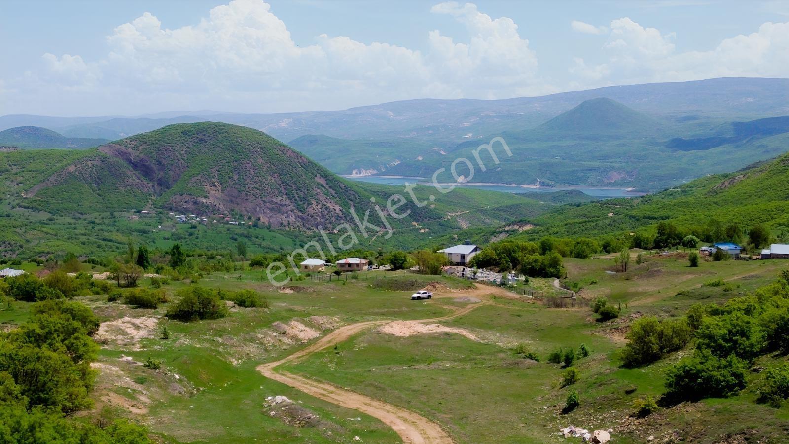 Bingöl / Yayladere / Yolgüden Mah. 8617 M² Tarla — fotoğraf 8