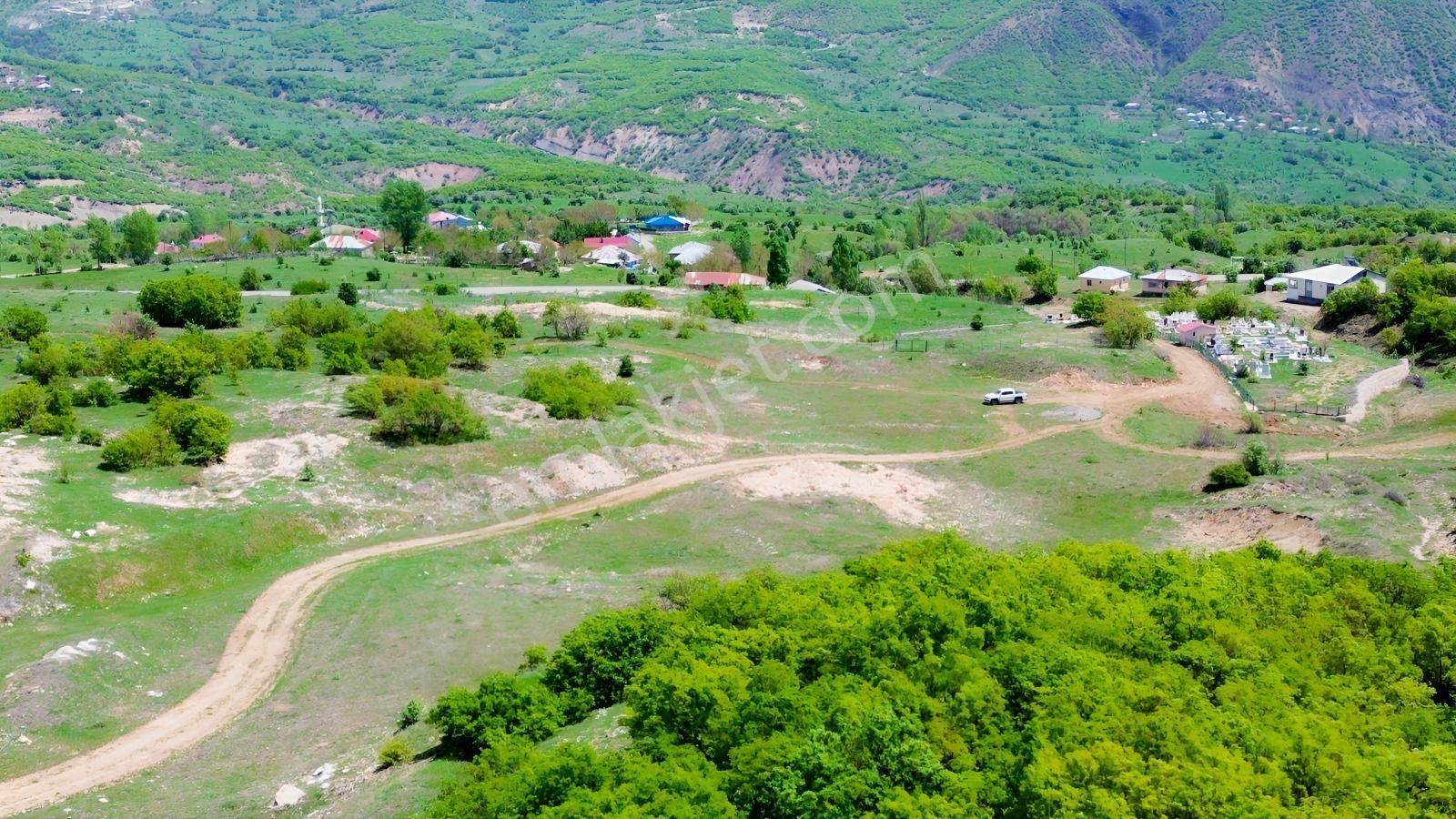 Bingöl / Yayladere / Yolgüden Mah. 8617 M² Tarla — fotoğraf 9