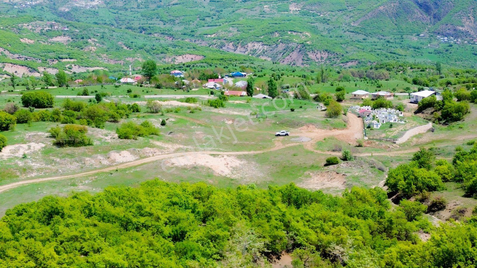 Bingöl / Yayladere / Yolgüden Mah. 8617 M² Tarla — fotoğraf 10