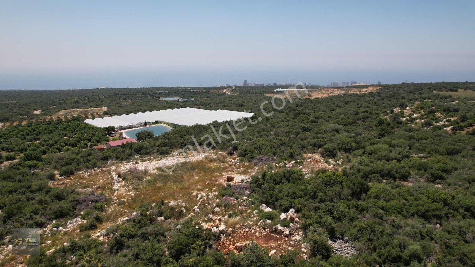 Ayaş Kumkuyuda Villa İmarlı Satılık Arsa — fotoğraf 7