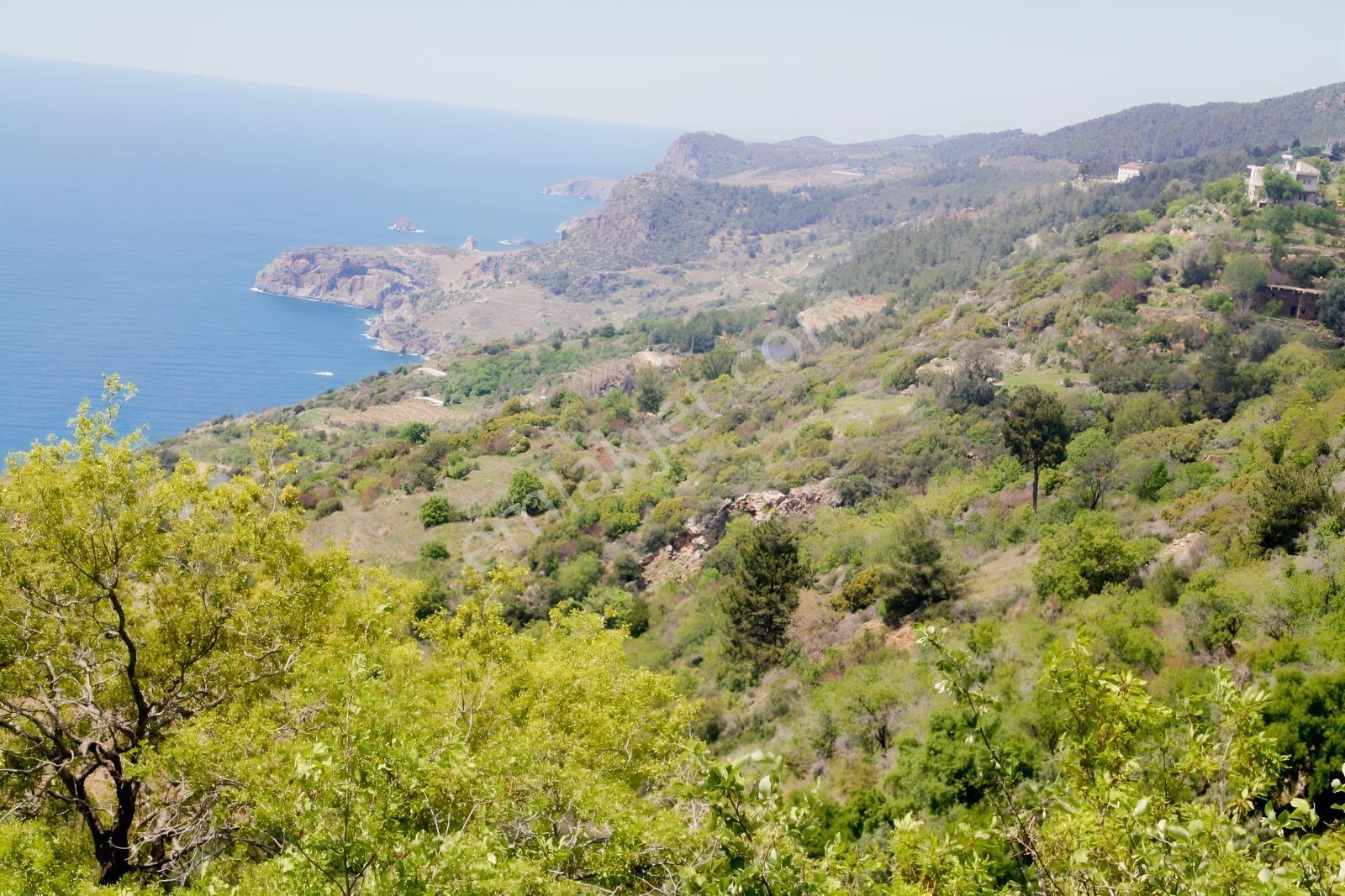 Gazipaşa Satılık Deniz Manzaralı 3 Villalık Arsa Zeytinada — fotoğraf 2