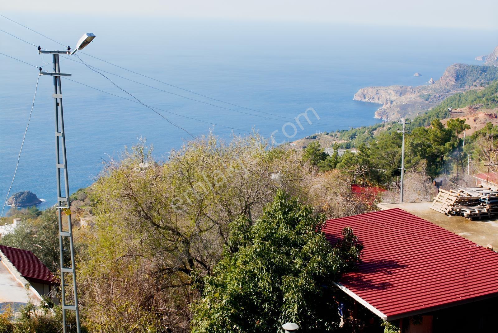 Gazipaşa Satılık Deniz Manzaralı 3 Villalık Arsa Zeytinada — fotoğraf 3