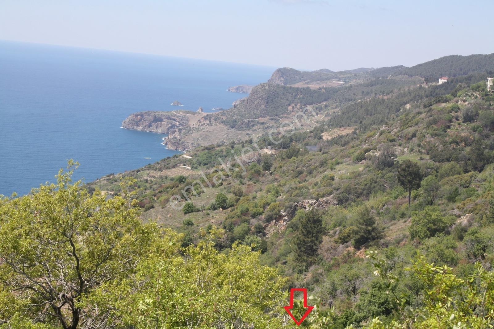 Gazipaşa Satılık Deniz Manzaralı 3 Villalık Arsa Zeytinada — fotoğraf 5
