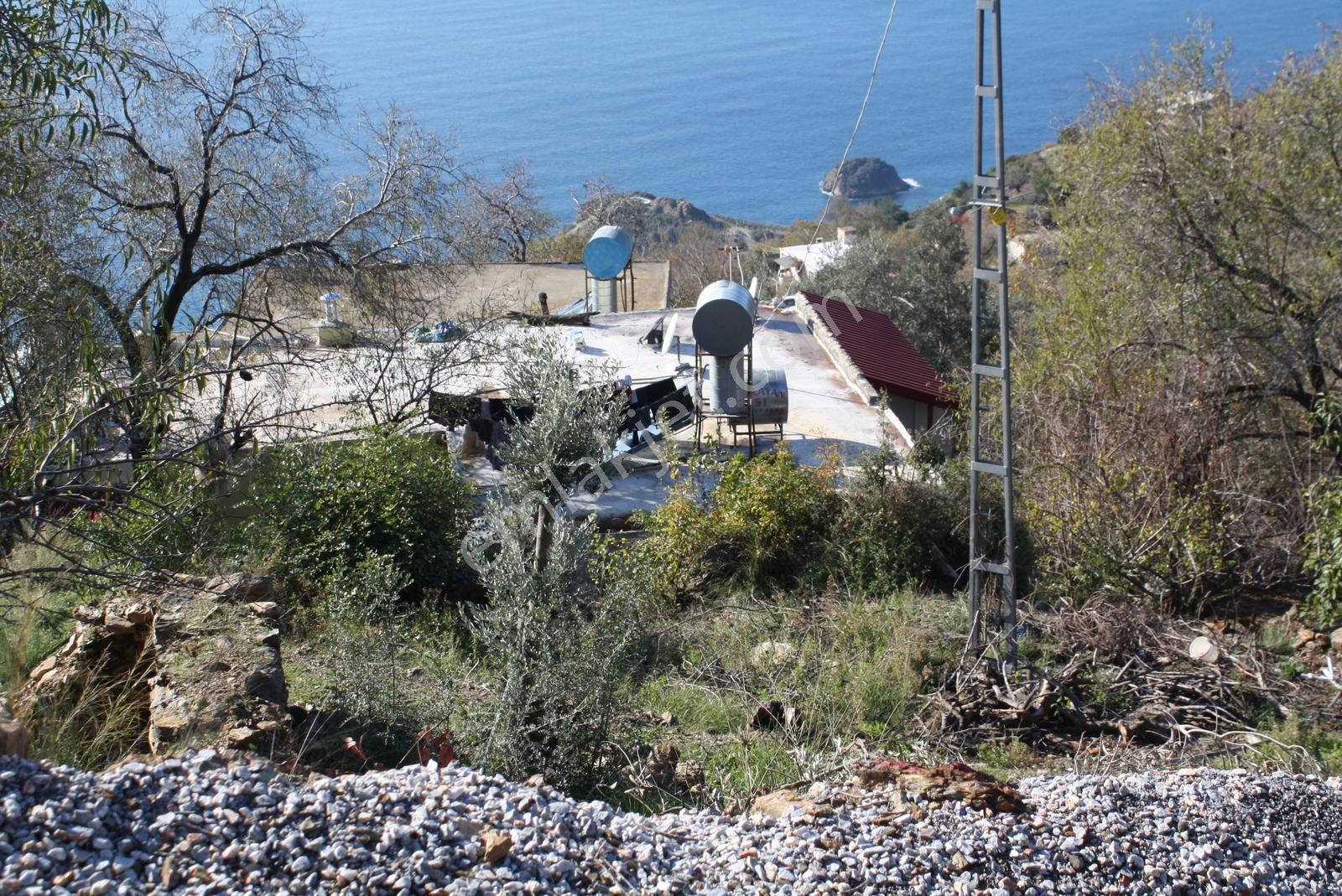Gazipaşa Satılık Deniz Manzaralı 3 Villalık Arsa Zeytinada — fotoğraf 7