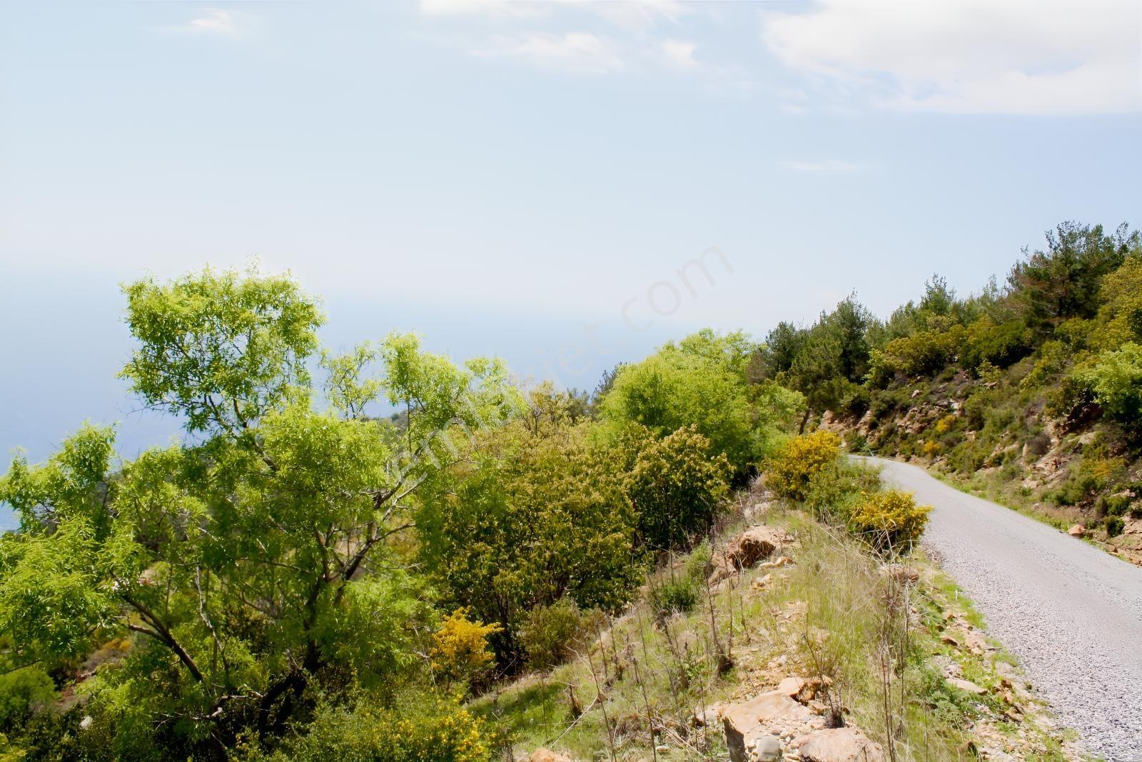 Gazipaşa Satılık Deniz Manzaralı 3 Villalık Arsa Zeytinada — fotoğraf 9