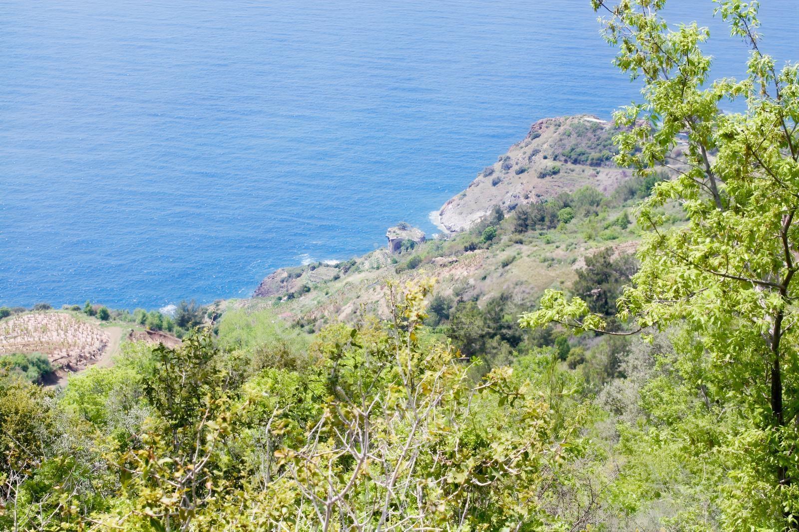 Gazipaşa Satılık Deniz Manzaralı 3 Villalık Arsa Zeytinada — fotoğraf 14