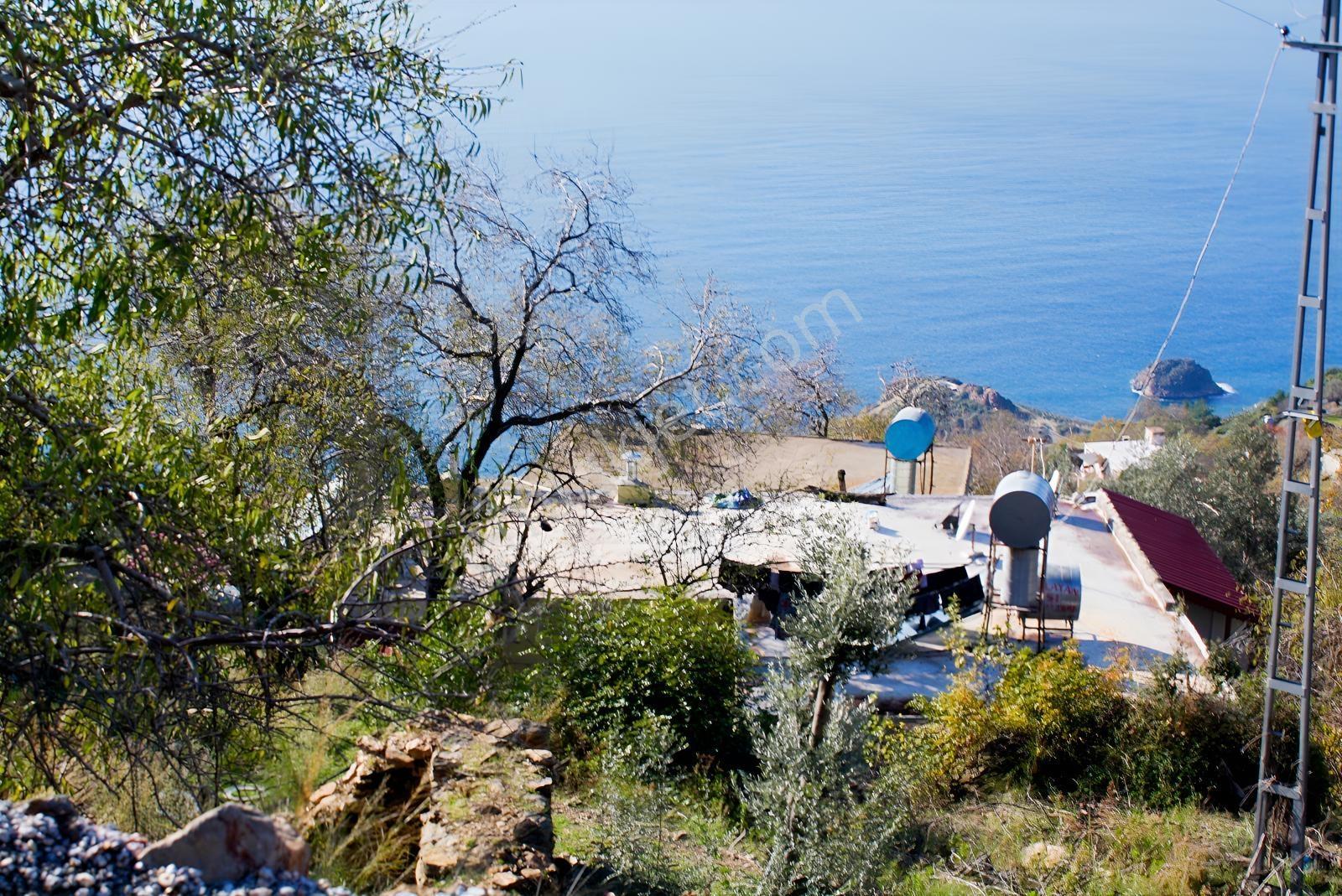 Gazipaşa Satılık Deniz Manzaralı 3 Villalık Arsa Zeytinada — fotoğraf 15