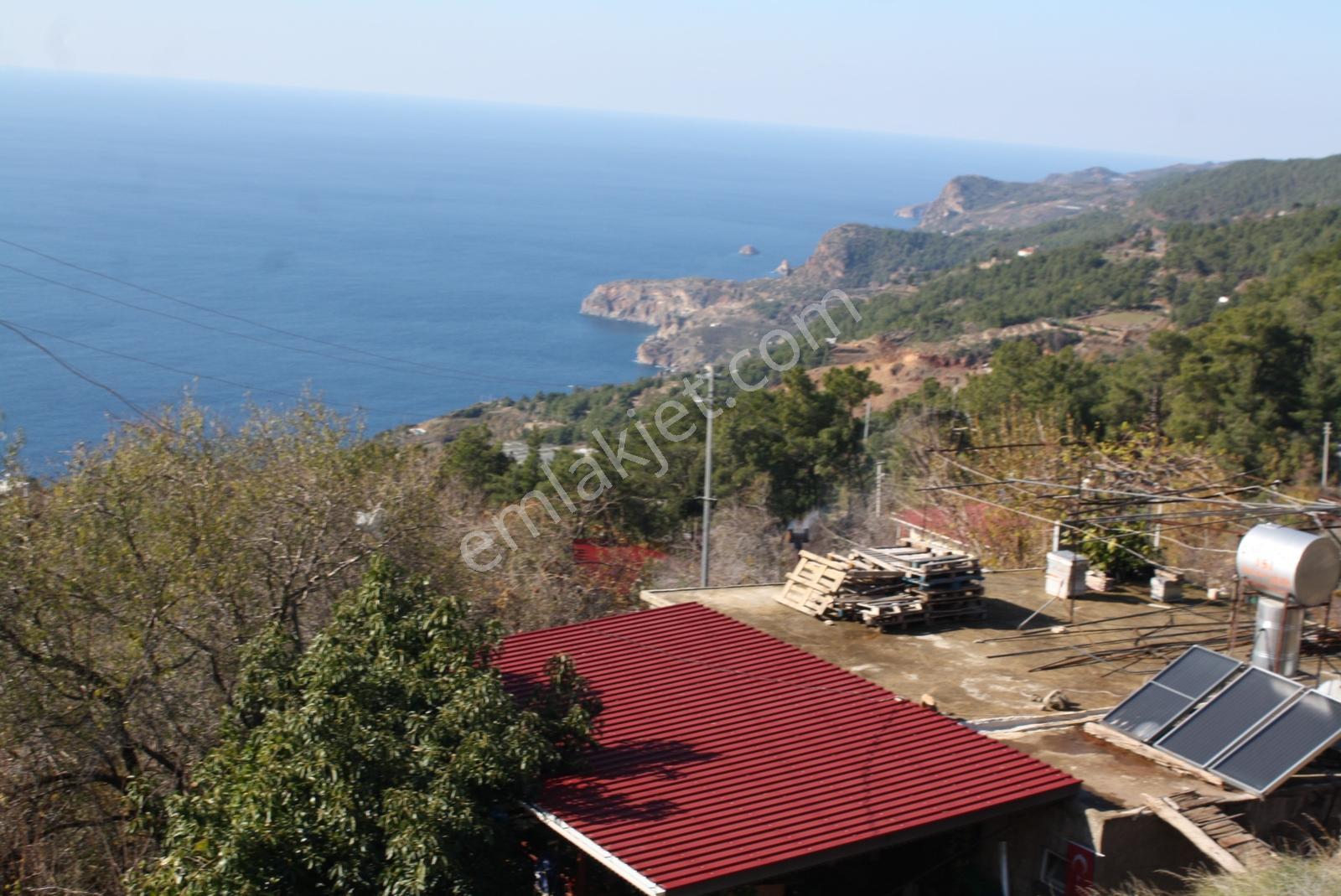 Gazipaşa Satılık Deniz Manzaralı 3 Villalık Arsa Zeytinada — fotoğraf 19