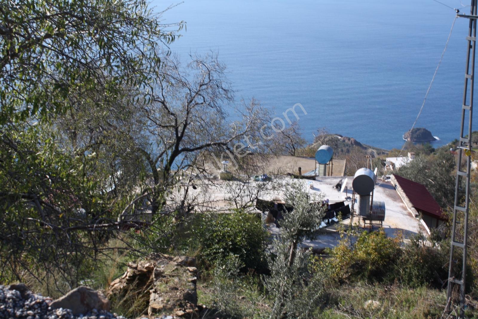 Gazipaşa Satılık Deniz Manzaralı 3 Villalık Arsa Zeytinada — fotoğraf 29